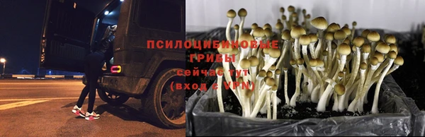 МДПВ Медвежьегорск