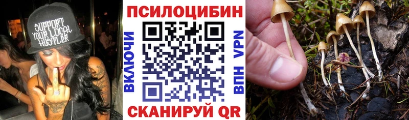 Псилоцибиновые грибы Cubensis  Щёлково 